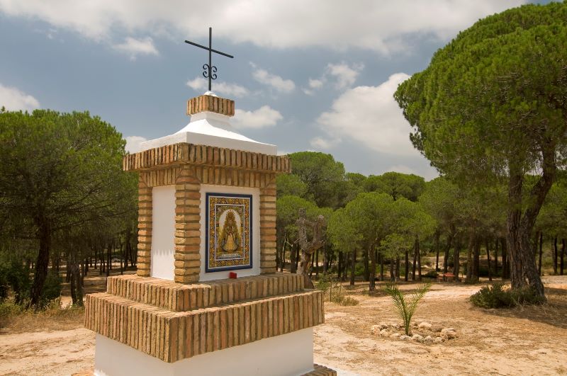 05-Área recreativa Pino de la Cruz-Cruz. Lucena del Puerto (Huelva).